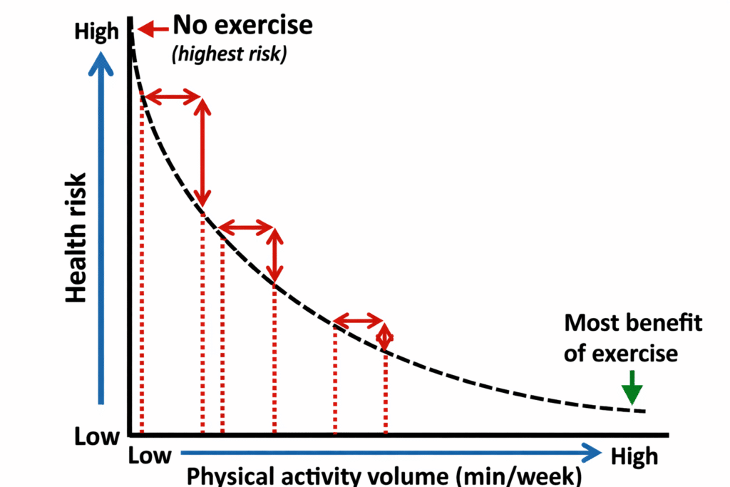 Dose response relationship of physical activity on health risks