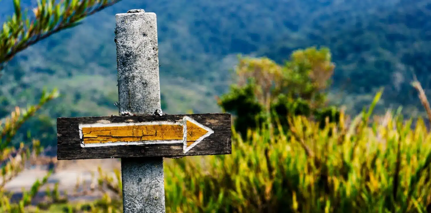a rustic sign in a countryside trail